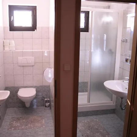 Janez Guest house 3*